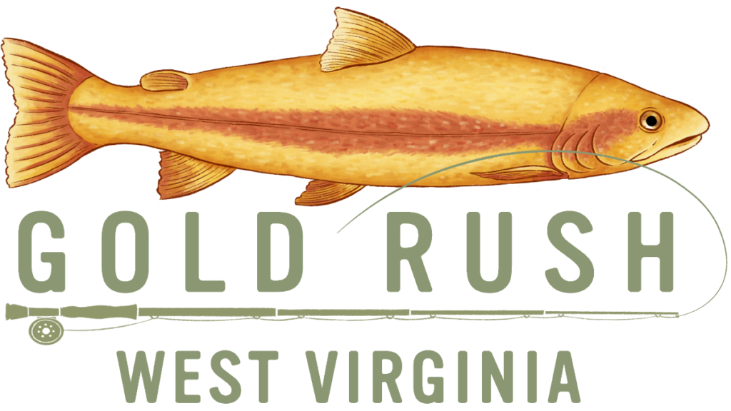 Governor Justice Announces Return Of West Virginia Gold Rush Trout ...