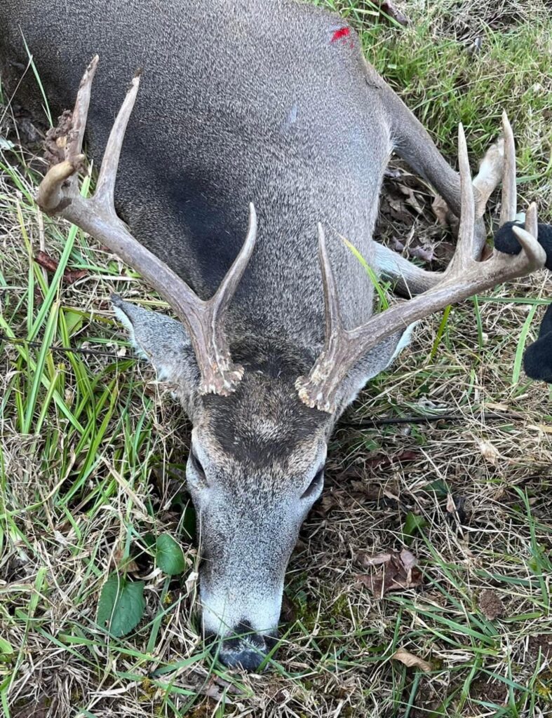 A Few First Day Deer Kills For Your Viewing Pleasure – Ridgeview News